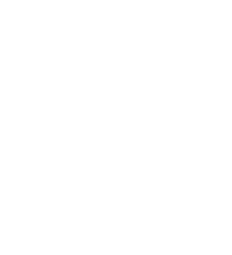 4. logo transparente